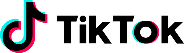 TikTok Logo
